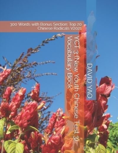 Cover for David Yao · YCT 3 (New Youth Chinese Test 3) Vocabulary Book (Paperback Book) (2021)