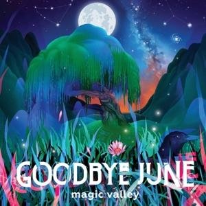 Cover for Goodbye June · Magic Valley (CD) (2017)