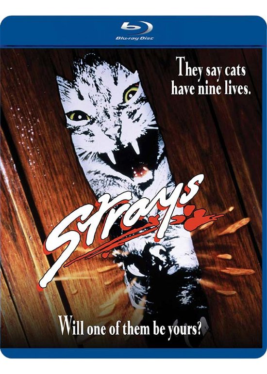 Cover for Blu-ray · Strays (Blu-ray) (2019)