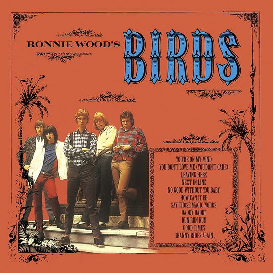 Cover for Jorge Ben · Ronnie Wood's Birds (LP) (2023)