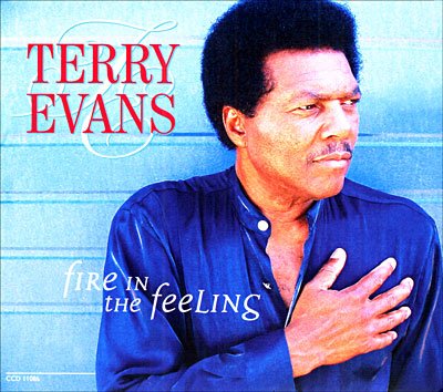 Cover for Evans Terry · Evans Terry - Fire In The Feeling (CD)