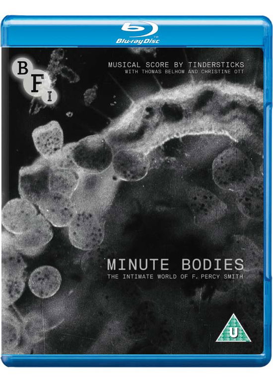 Cover for Minute Bodies · Minute Bodies Blu-Ray + (Blu-Ray) (2017)