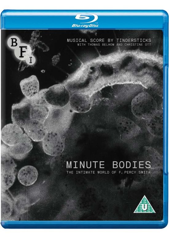 Cover for Minute Bodies · Minute Bodies Blu-Ray + (Blu-ray) (2017)