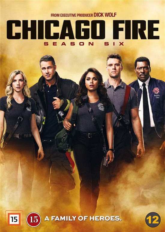 Cover for Chicago Fire · Chicago Fire - Season 6 (DVD) (2018)