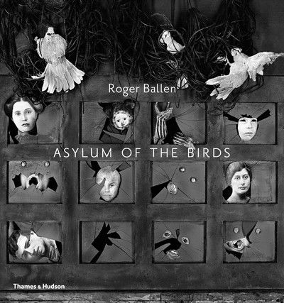 Cover for Roger Ballen · Asylum of the Birds (Paperback Book) (2019)