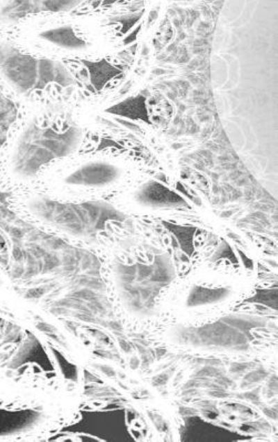 Cover for Judy Powell · LETTERS To MYSELF JOURNAL - Black and White Wedding Lace (Hardcover Book) (2018)