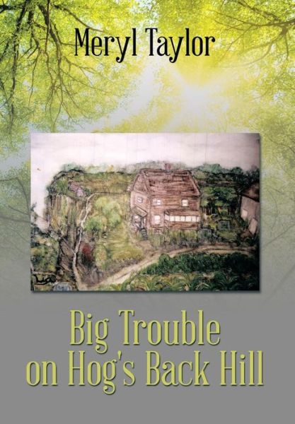 Cover for Meryl Taylor · Big Trouble on Hog's Back Hill (Hardcover Book) (2014)