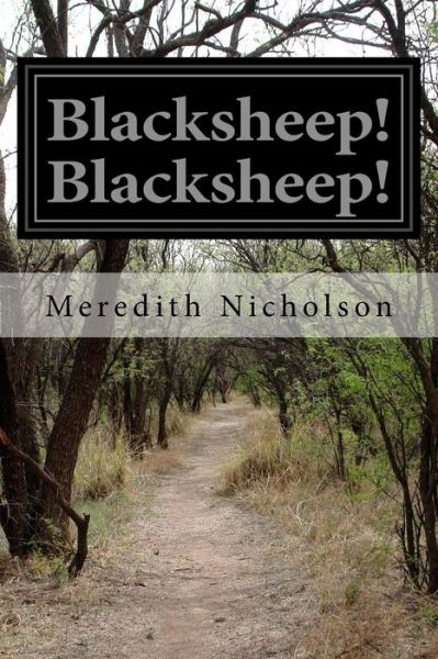 Blacksheep! Blacksheep! - Meredith Nicholson - Books - Createspace - 9781514306864 - June 11, 2015