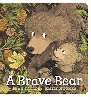 Cover for Sean Taylor · A Brave Bear (Kartongbok) (2023)
