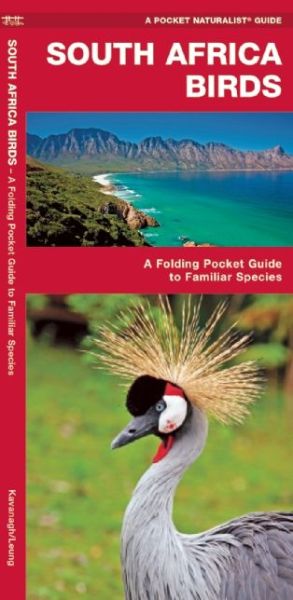 Cover for James Kavanagh · South Africa Birds: A Folding Pocket Guide to Familiar Species (Pamphlet) (2016)