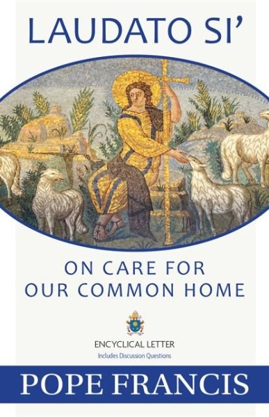 Cover for Pope Francis · Laudato Si: on Care for Our Common Home (Paperback Book) (2015)