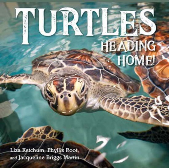 Turtles Heading Home! - Liza Ketchum - Books - Charlesbridge Publishing,U.S. - 9781623545864 - July 15, 2025
