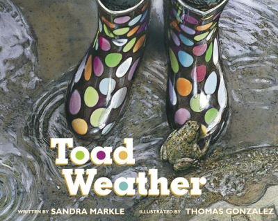 Cover for Sandra Markle · Toad Weather (Paperback Book) (2021)
