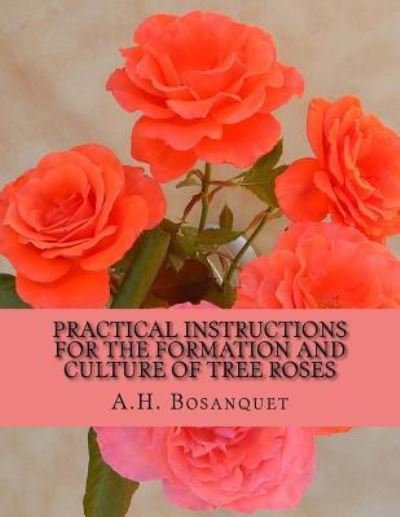 Cover for A H Bosanquet · Practical Instructions For The Formation and Culture of Tree Roses (Pocketbok) (2018)