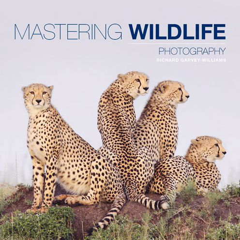 Cover for R Garvey–williams · Mastering Wildlife Photography (Pocketbok) (2015)