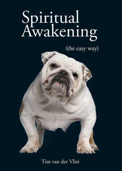 Cover for Tim Van Der Vliet · Spiritual Awakening: (the easy way) (Pocketbok) (2013)