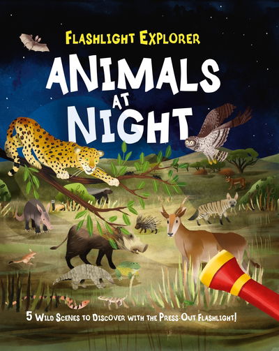 Cover for Lisa Regan · Flashlight Explorer: Animals at Night: 5 Wild Scenes to Discover with the Press-Out Flashlight - Flashlight Explorer (Hardcover Book) (2019)