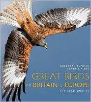 Cover for Jonathan Elphick · Great Birds of Europe (Hardcover Book) (2008)