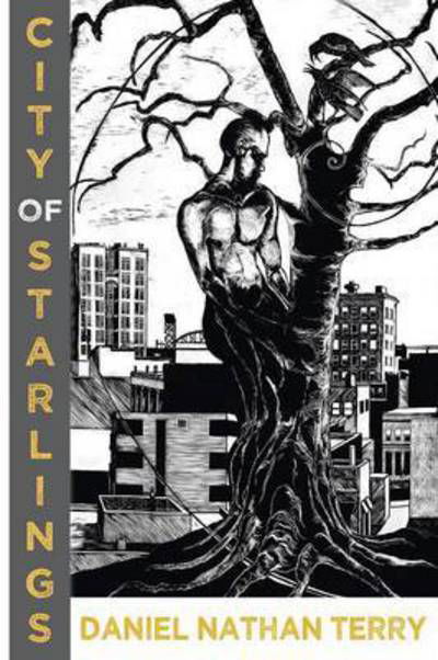 Cover for Daniel Nathan Terry · City of Starlings (Paperback Book) (2015)