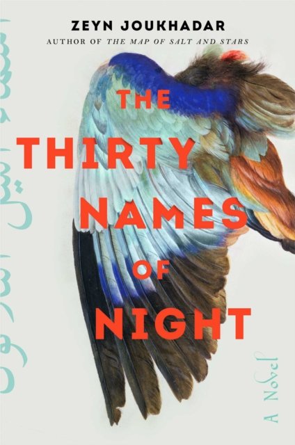 Cover for Zeyn Joukhadar · The Thirty Names of Night: A Novel (Paperback Book) (2020)