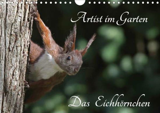 Cover for Konieczka · Artist im Garten. Das Eichhör (Book)