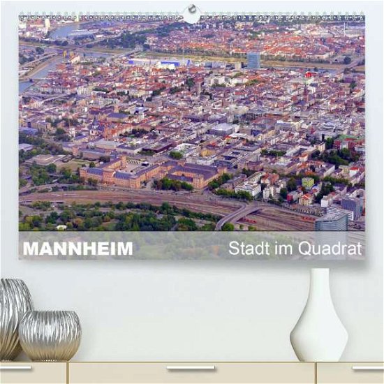 Cover for Ruhm · Mannheim - Stadt im Quadrat (Premi (Book)