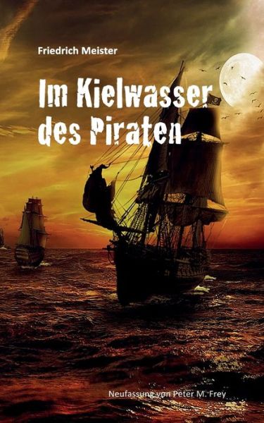 Cover for Meister · Im Kielwasser des Piraten (Book) (2017)