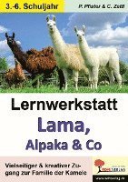 Cover for Pfister · Lernwerkstatt Lama, Alpaka &amp; Co (Book)