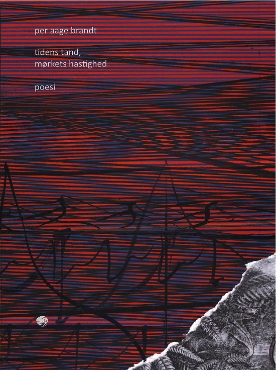 Cover for Per Aage Brandt · Tidens tand, mørkets hastighed (Sewn Spine Book) [1th edição] (2014)