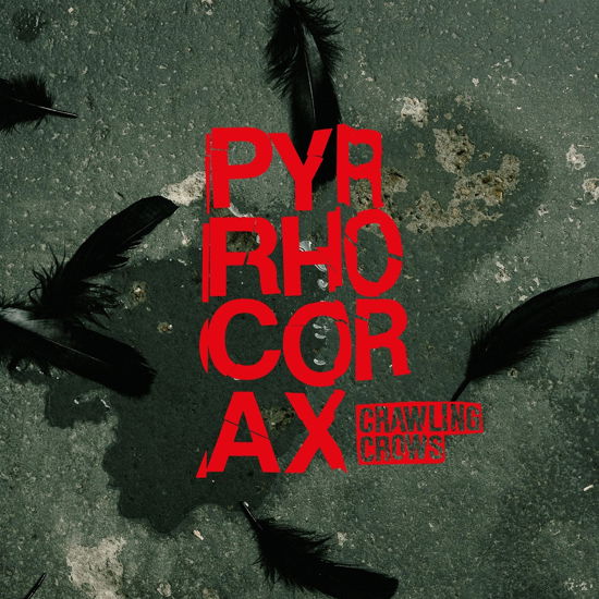 Cover for Crawling Crows · Pyrrhocorax (CD) (2024)