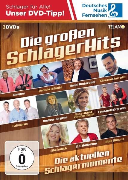 Die Großen Schlager Hits - V/A - Filmes - TELAMO - 4053804313865 - 13 de dezembro de 2019