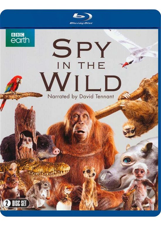 Cover for Spy in the Wild Bluray · Spy In The Wild Series 1 (Blu-ray) (2017)