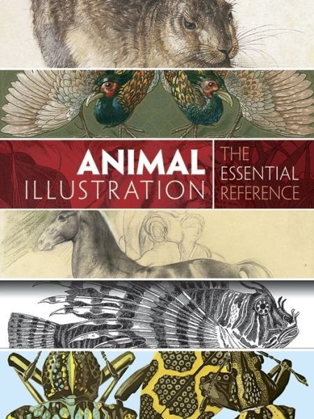 Cover for Carol Belanger Grafton · Animal Illustration: the Essential Reference (Paperback Bog) (2016)