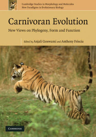 Cover for Anjali Goswami · Carnivoran Evolution: New Views on Phylogeny, Form and Function - Cambridge Studies in Morphology and Molecules: New Paradigms in Evolutionary Bio (Taschenbuch) (2010)