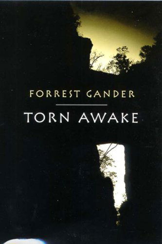 Cover for Forrest Gander · Torn Awake (Paperback Book) (2002)