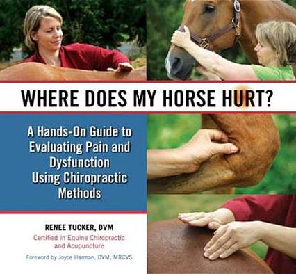 Cover for Renee Tucker · Where Does My Horse Hurt?: A Hands-On Guide to Evaluating Pain and Dysfunction Using Chiropratic Methods (Hardcover Book) (2011)