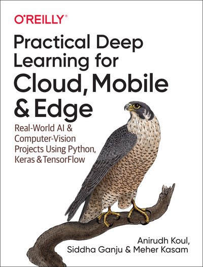Cover for Anirudh Koul · Practical Deep Learning for Cloud and Mobile: Real-World AI &amp; Computer Vision Projects Using Python, Keras &amp; TensorFlow (Paperback Book) (2019)