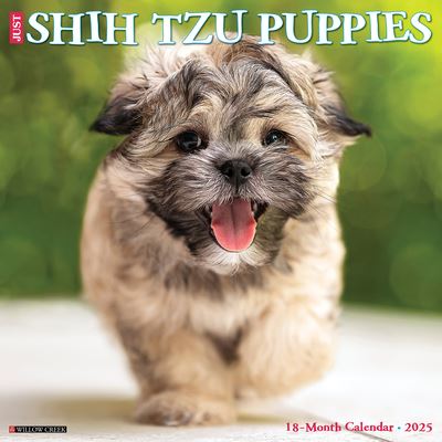 Willow Creek Press · Just Shih Tzu Puppies 2025 12 X 12 Wall Calendar (Calendar) (2024)