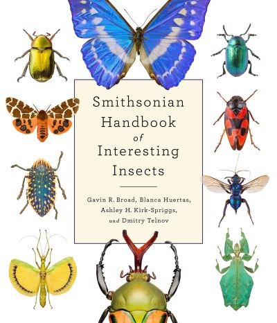 Cover for Gavin Broad · Smithsonian Handbook of Interesting Insects (Hardcover Book) (2020)