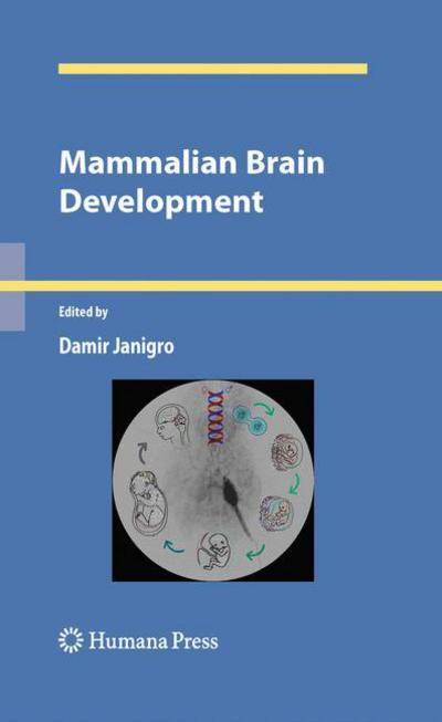 Cover for Damir Janigro · Mammalian Brain Development - Contemporary Neuroscience (Hardcover Book) [2009 edition] (2009)