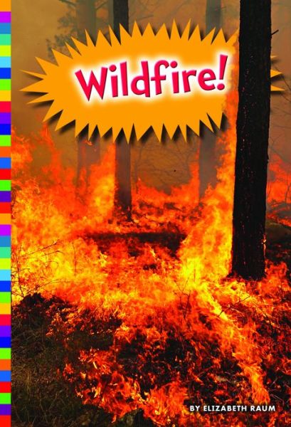 Cover for Elizabeth Raum · Wildfire! (Book) (2017)