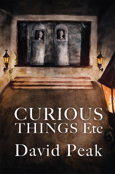 Curious Things etc - David Peak - Books - SilverWood Books Ltd - 9781781325865 - February 16, 2017