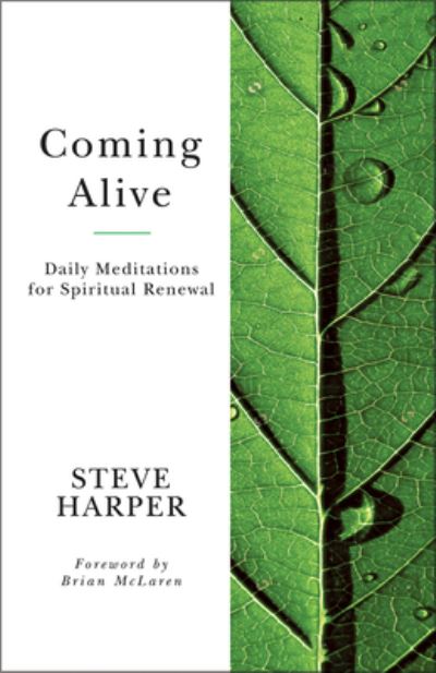 Coming Alive - Steve Harper - Livros - Abingdon Press - 9781791027865 - 15 de novembro de 2022