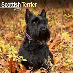 Cover for Scottish Terrier Calendar 2026  Square Dog Breed Wall Calendar - 16 Month (Calendar) (2025)
