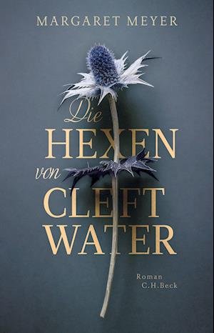 Cover for Margaret Meyer · Die Hexen Von Cleftwater (Buch)