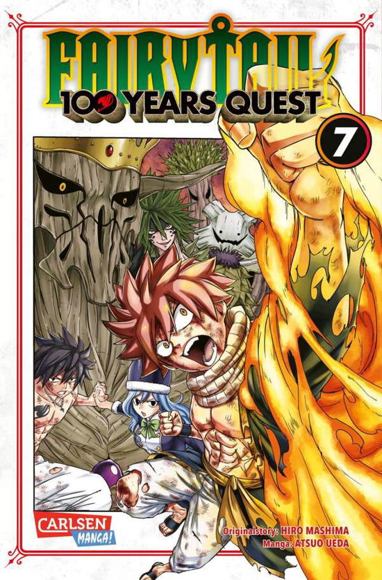 Cover for Mashima · Fairy Tail - 100 Years Quest 7 (N/A)