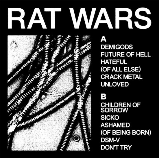 Cover for Health · Rat Wars (Black Cobweb Vinyl) (LP) (2025)