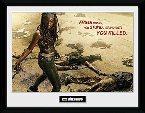 Cover for Walking Dead (The) · Walking Dead (The): Michonne Kill (Stampa In Cornice 30x40 Cm) (MERCH)