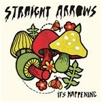 Cover for Straight Arrows · It's Happening (LP) (2013)