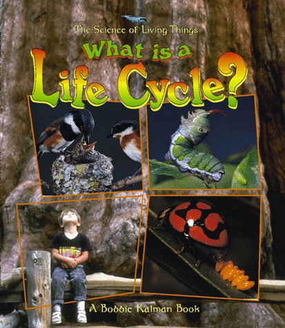 Cover for Jacqueline Langille · What is a Life Cycle? (Science of Living Things) (Paperback Book) (1998)